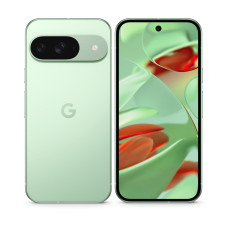 Смартфон Google Pixel 9 12/256Gb Wintergreen US