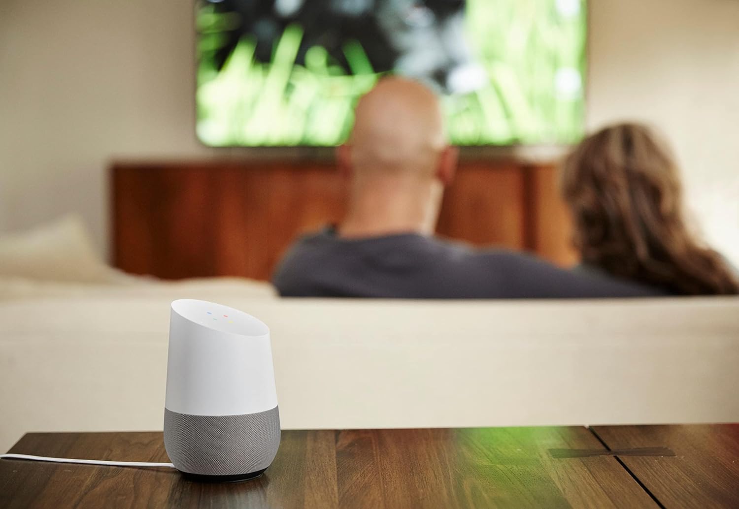 Google Home Smart Assistant